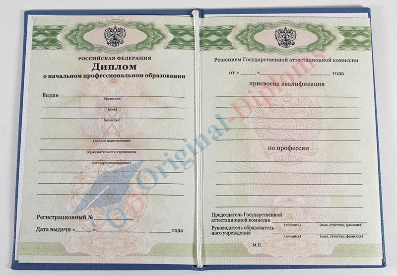 Диплом училища, лицея 2010-2026 год